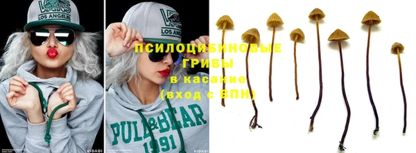 прущий лед Вязьма