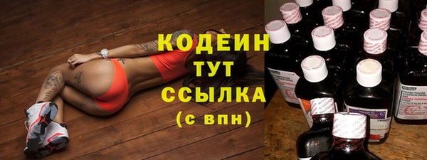 прущий лед Вязьма